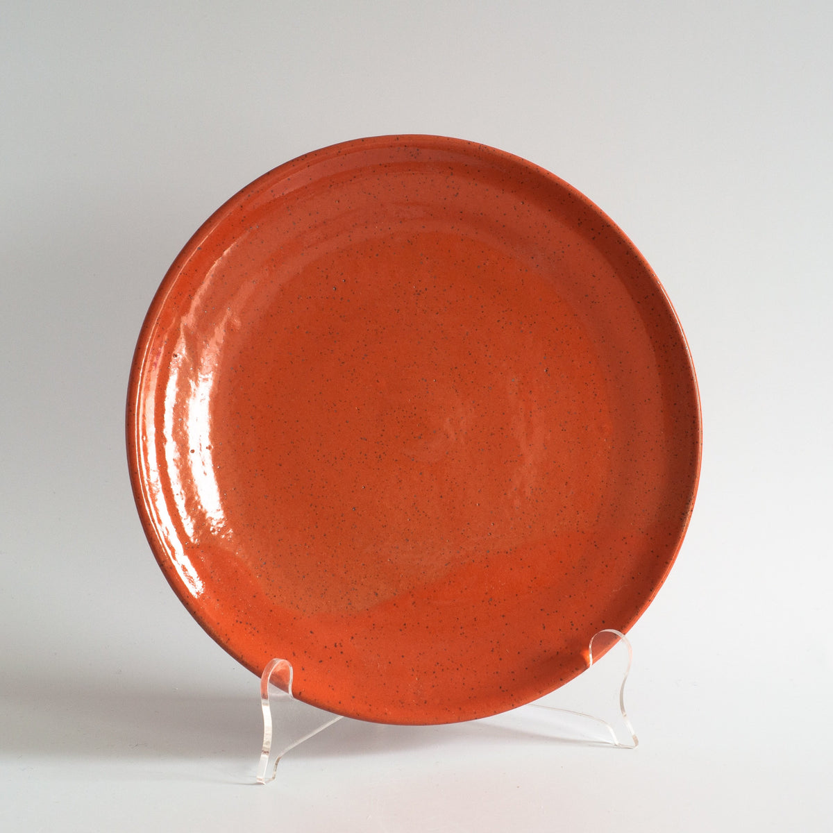 Blue coral dinner plates