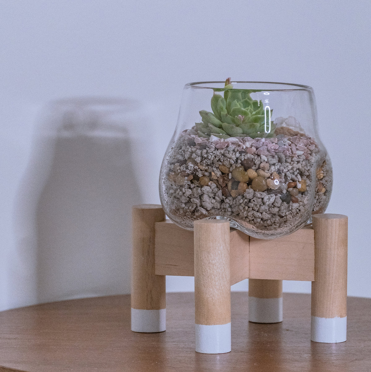 plant terrarium stand Shop Handcrafted Glass Terrarium and White Plant Stand