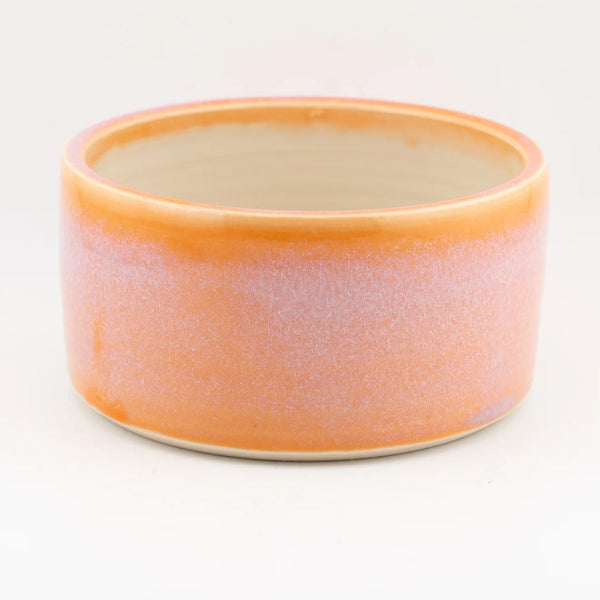 Sunrise Pet Bowl