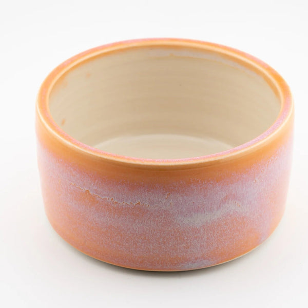 Sunrise Pet Bowl