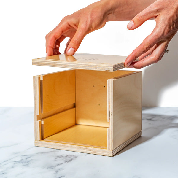 Cheese Grotto Piatto