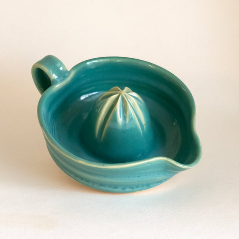 Turquoise Citrus Juicer