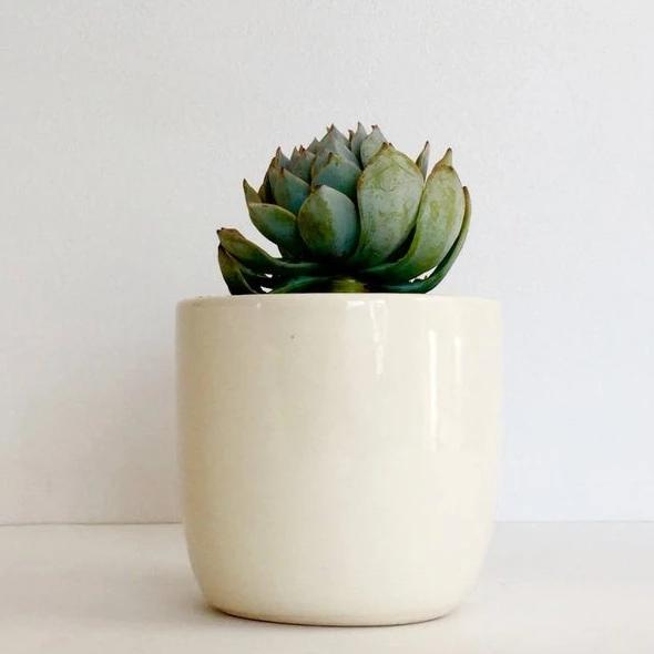 Planter