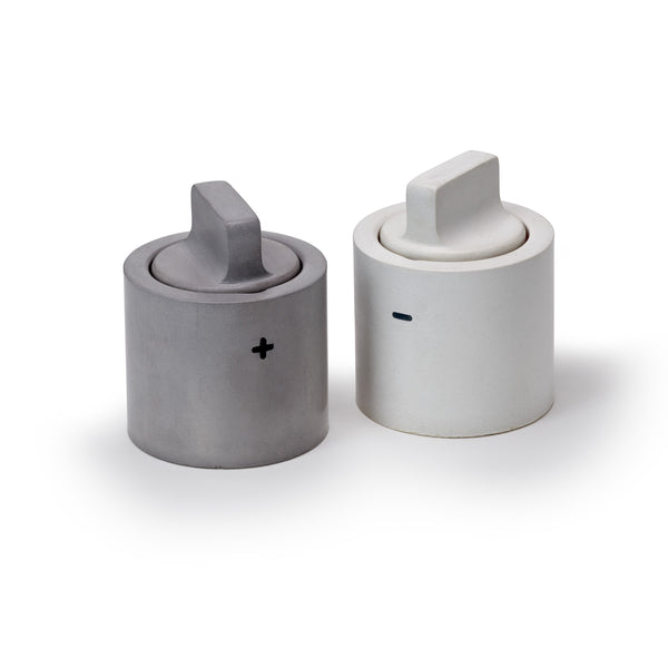 PLC Concrete Salt and Pepper Shaker Set