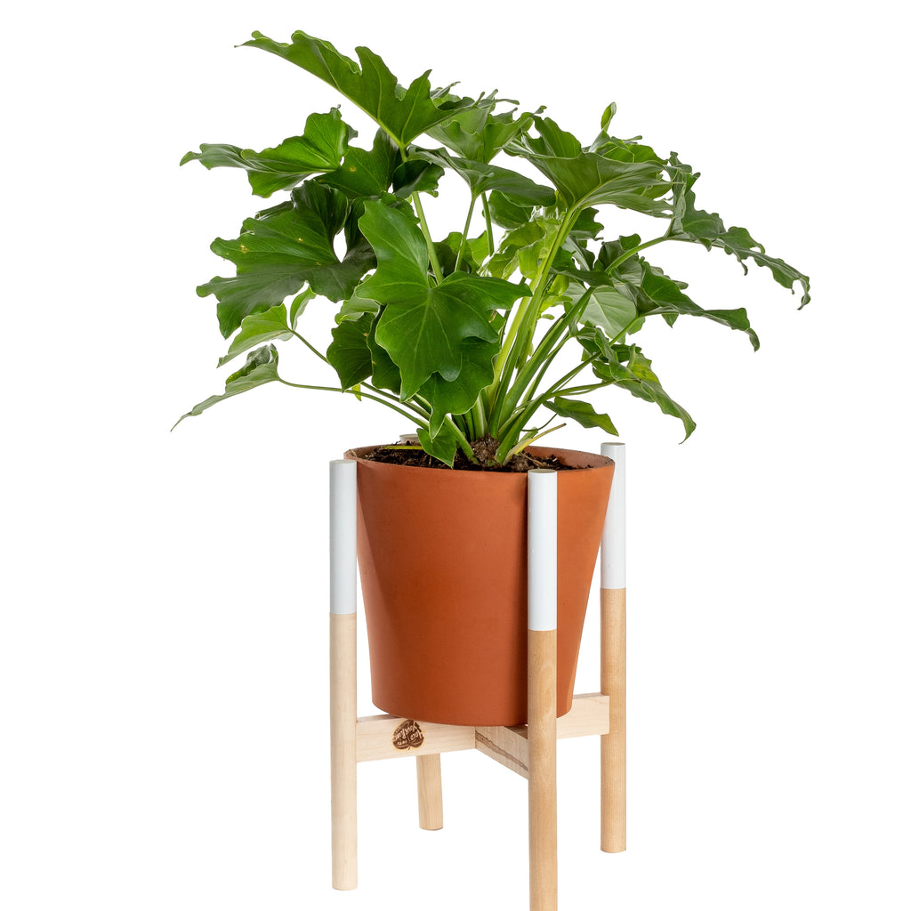 tall white plant stands indoor Shop Handcrafted White Wooden Modern Plant Stand