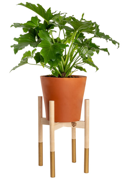 Modern Plant Stand Gold, Large