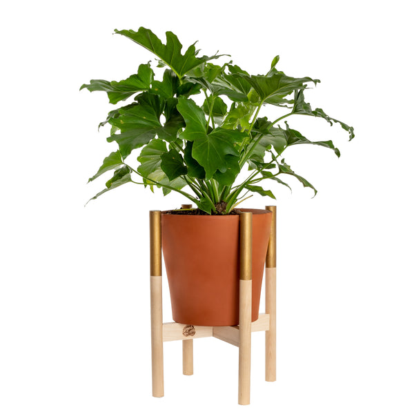 Modern Plant Stand Gold, Large