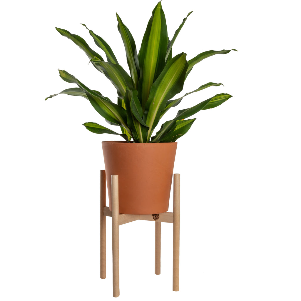 plant stand for large indoor plant Shop Handcrafted Large Modern Wood Plant Stand
