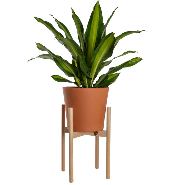 Modern Plant Stand Neutral, Large