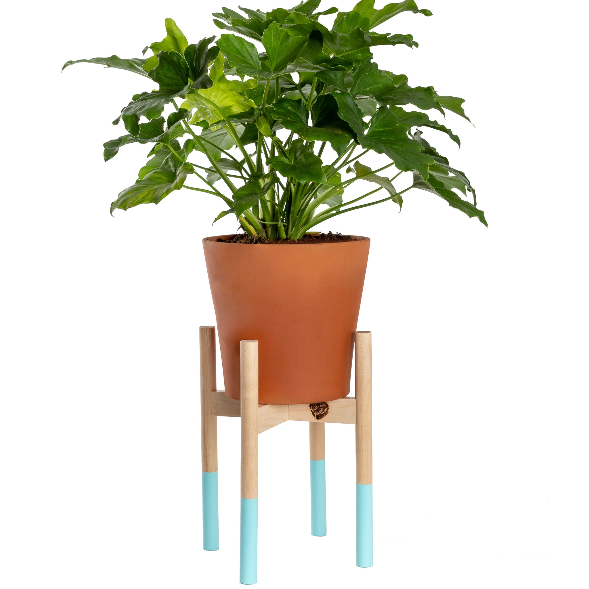 Modern Plant Stand Robin's Egg, Large
