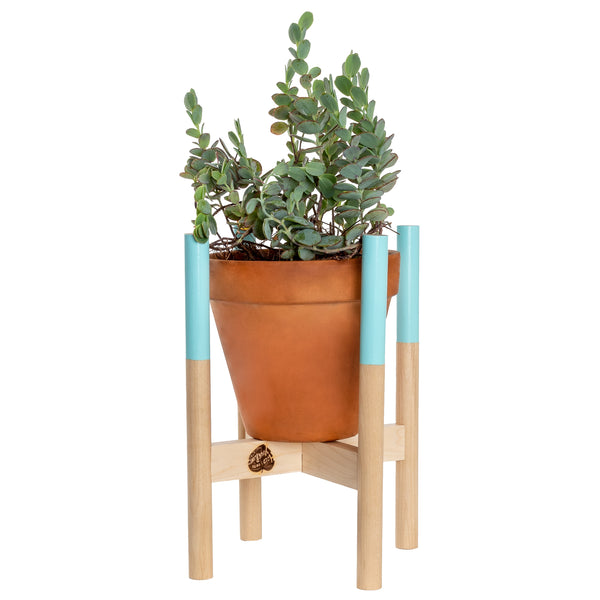 Modern Plant Stand Robin's Egg, Large