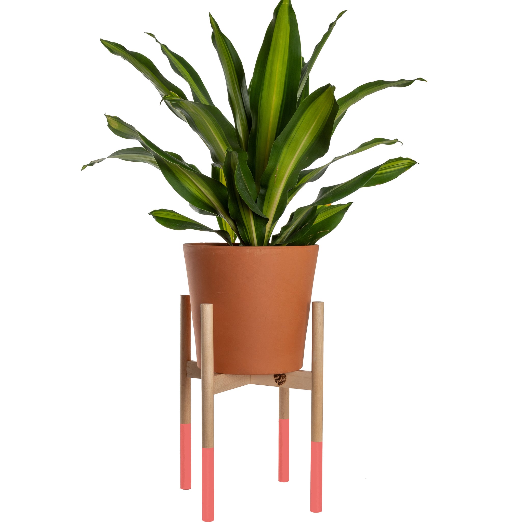 Modern Plant Stand Salmon, Large