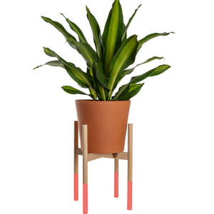 Modern Plant Stand Salmon, Large