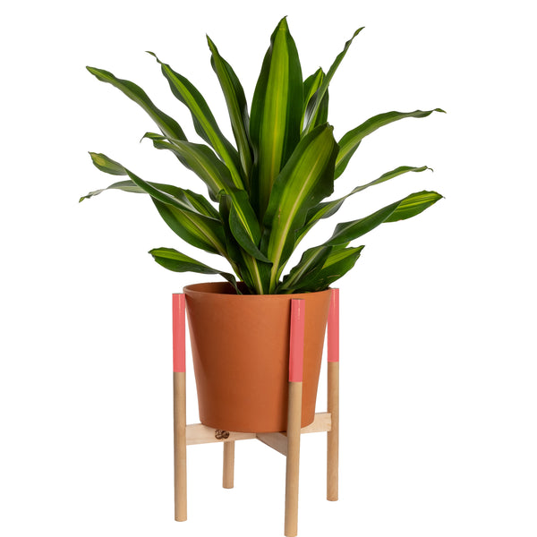Modern Plant Stand Salmon, Large