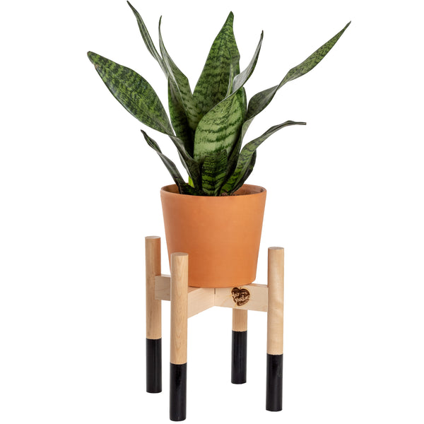 Modern Plant Stand Black, Small