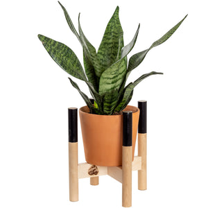 Modern Plant Stand Black, Small