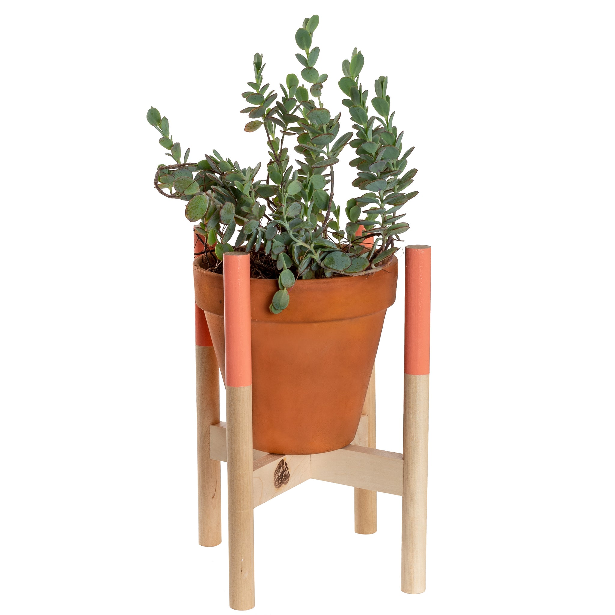 small plant pot stand Shop Hand-painted Coral Modern Wood Plant Stand
