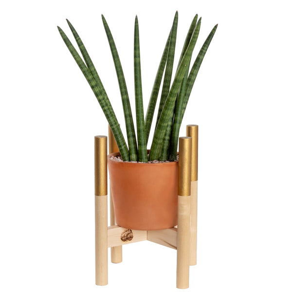 Modern Plant Stand Gold, Small