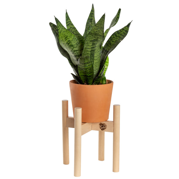 Modern Plant Stand Neutral, Small