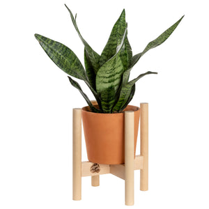 Modern Plant Stand Neutral, Small