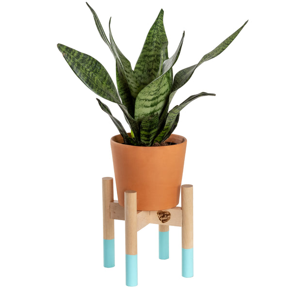 Modern Plant Stand Robin's Egg, Small