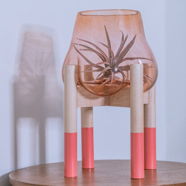 Terrarium and Salmon Modern Stand, Large