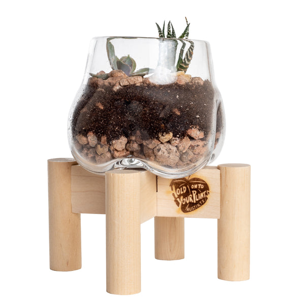 Terrarium and Neutral Modern Stand, Mini
