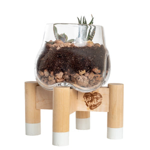 Terrarium and White Modern Stand, Mini