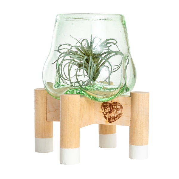 Terrarium and White Modern Stand, Mini