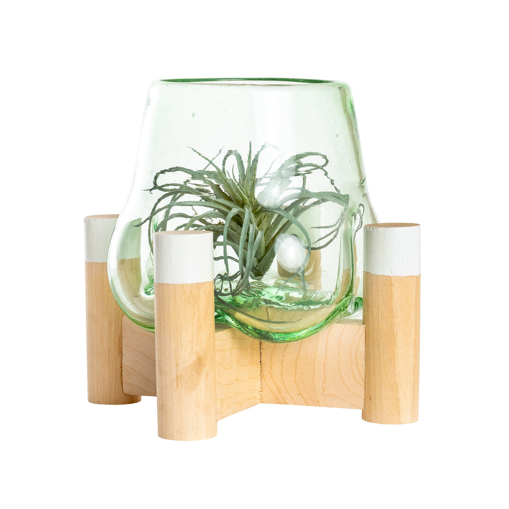 terrarium plant stand Shop Handcrafted Glass Terrarium and White Plant Stand