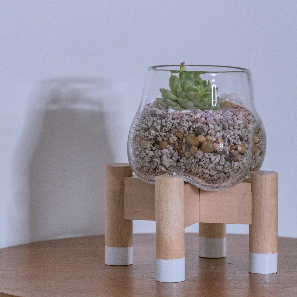 terrarium plant stand Shop Handcrafted Glass Terrarium and White Plant Stand