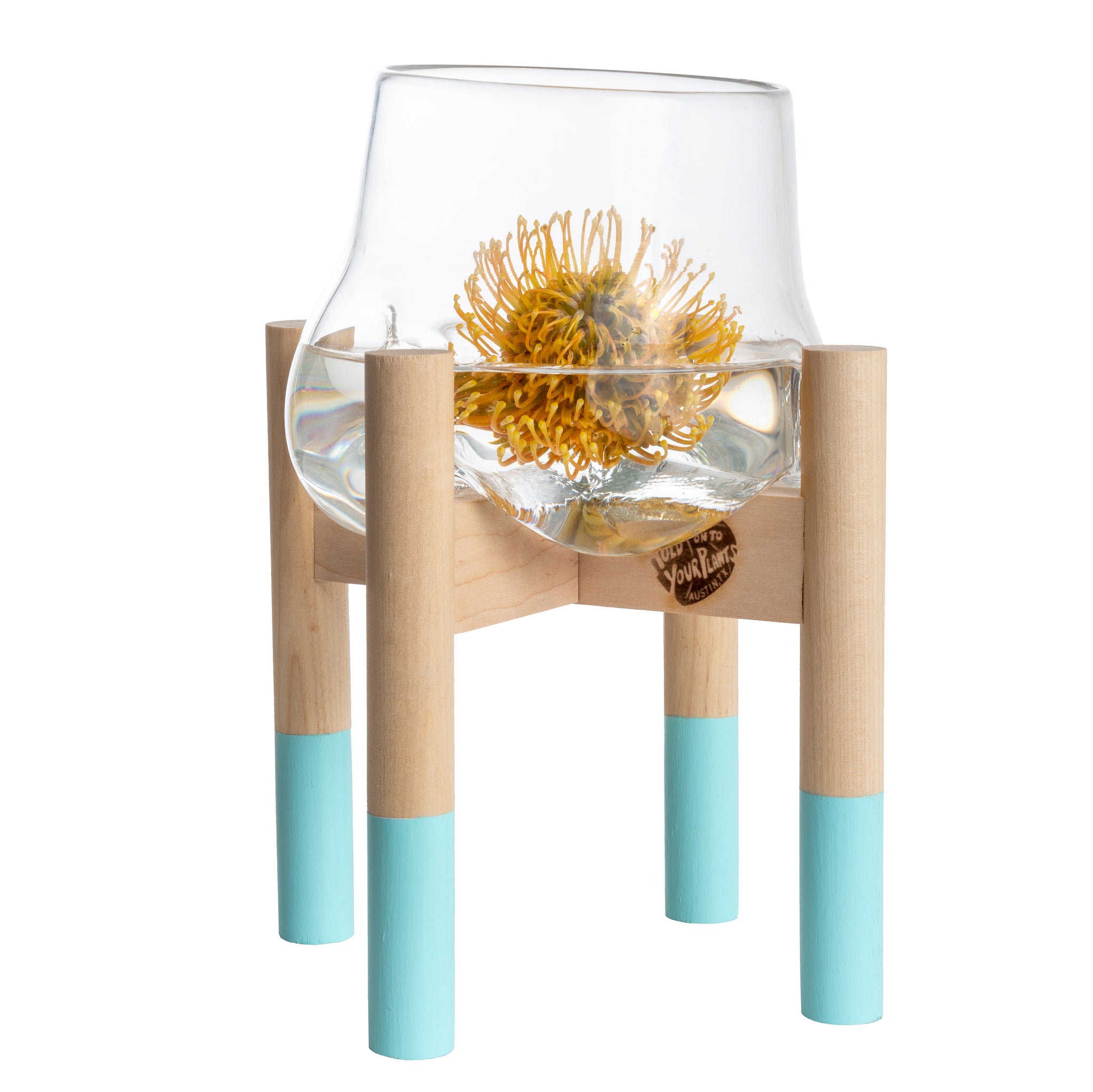 Terrarium and Robin's Egg Modern Stand, Large