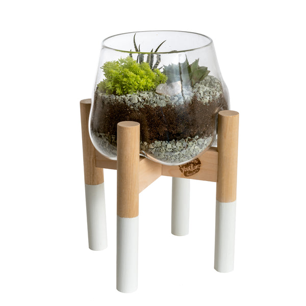Terrarium and White Modern Stand, Large
