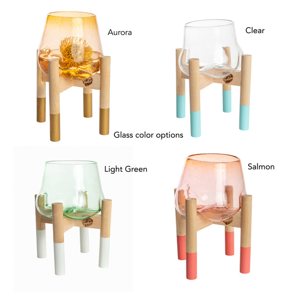 Terrarium and Neutral Modern Stand, Mini