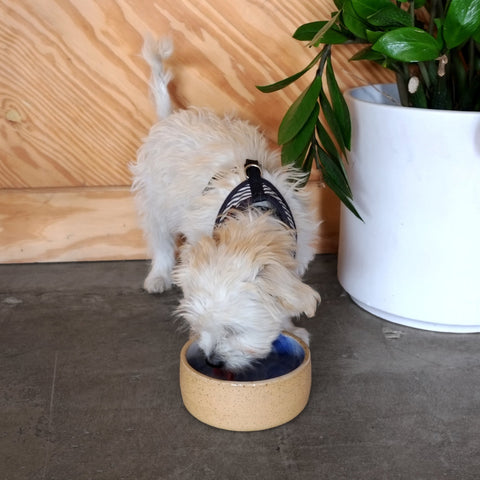 Marbled California Ocean Blue Dog Bowl