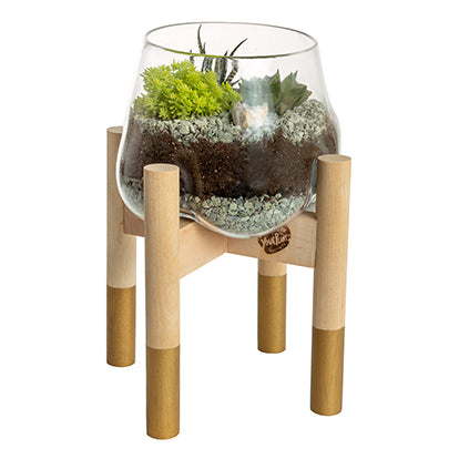 Terrarium and Gold Modern Stand, Large