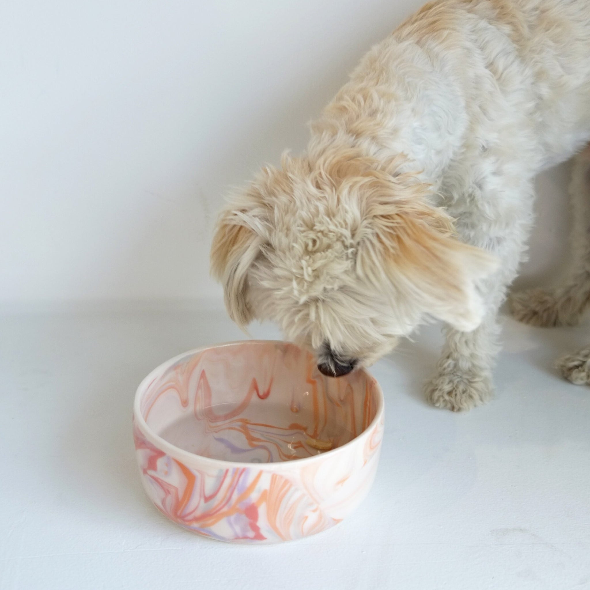 Marbled California Terra Cotta Sunset Dog Bowl