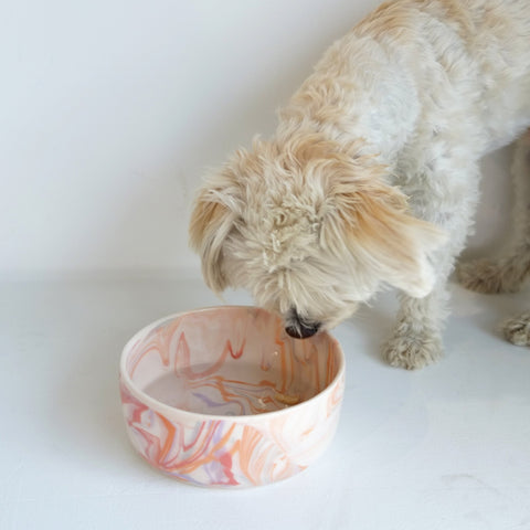 Marbled California Terra Cotta Sunset Dog Bowl