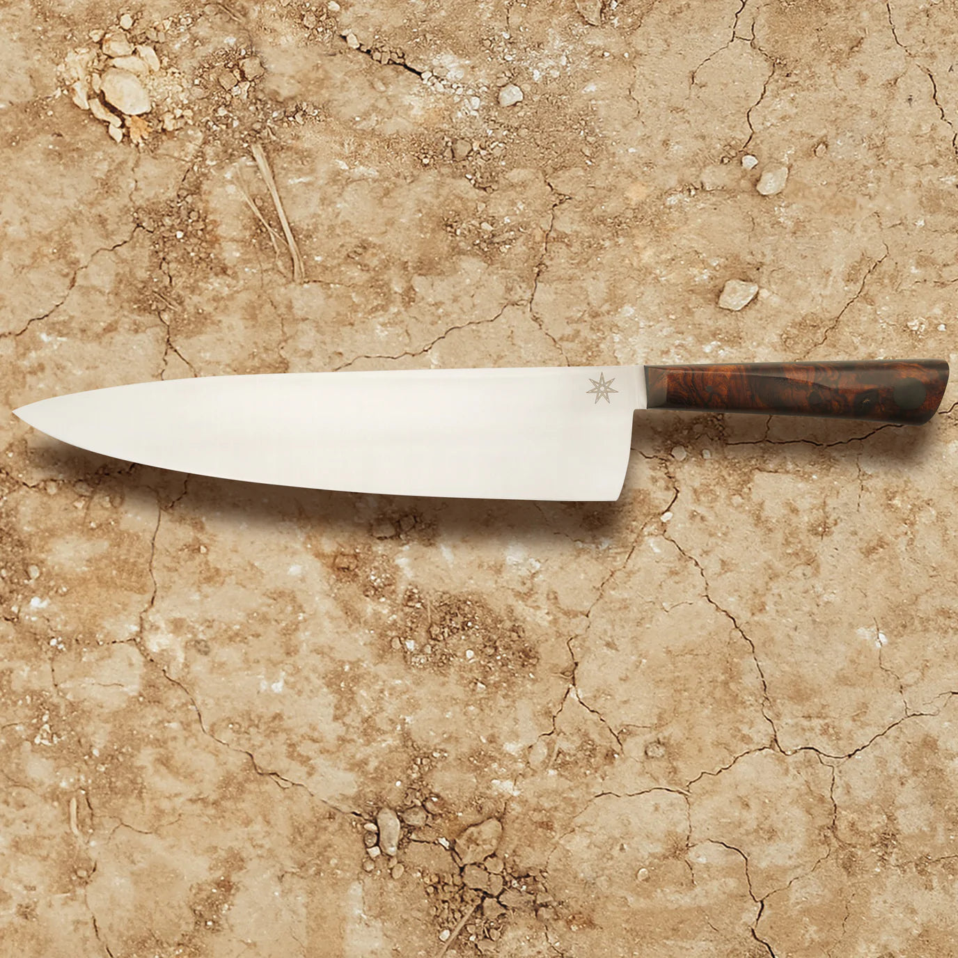 Olneya Chef Knife, 10 inches
