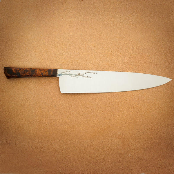 Olneya Chef Knife, 10 inches